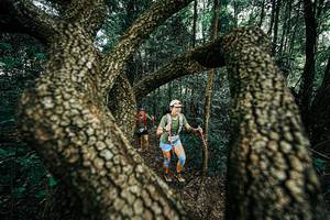 BIB: 
                            <button type="button" onclick="openModal(25394121)" class="btn btn-primary btn-sm float-right btn-popup" data-toggle="modal" data-target=".modal-high-quality">
                        <i class="fas fa-shopping-cart"></i> Add to Cart
                    </button>
                                            <button type="button" onclick="isThisMe(25394121, true)" class="btn btn-success btn-sm float-right btn-popup btn-isme hidden" data-toggle="tooltip" data-placement="bottom" title="นี่คือรูปของคุณใช่ไหม คลิกที่นี่เพื่อเอาเข้าอัลบั้ม">
                        <i class="fas fa-plus"></i> Add to album
                    </button>
                    <button type="button" onclick="isThisMe(25394121, false)" class="btn btn-warning btn-sm float-right btn-popup btn-isnotme hidden">
                        <i class="fas fa-ban"></i> Remove from album
                    </button>